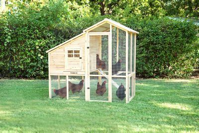 4 inside and 2 in the outdoor yard roosts give your chickens plenty of room to perch. . Tractor supply coop